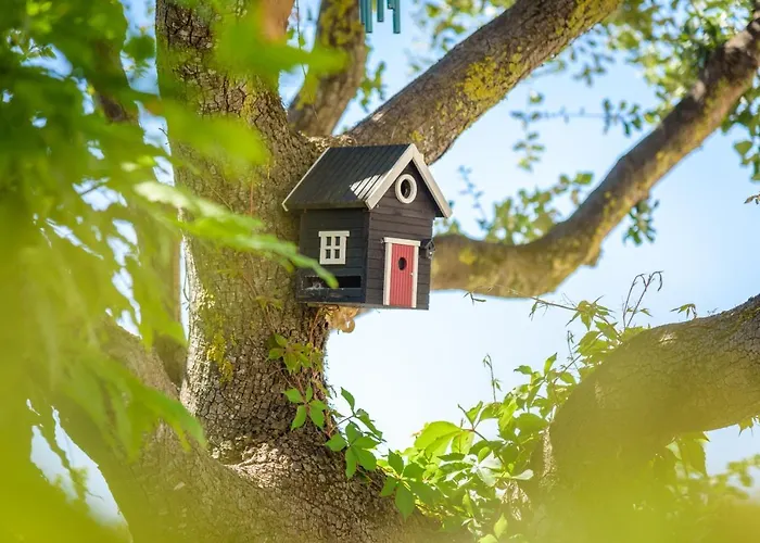 Le Martray Ars-en-Re